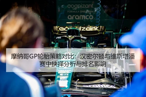 摩纳哥GP轮胎策略对比：汉密尔顿与维斯塔潘赛中抉择分析与排名影响